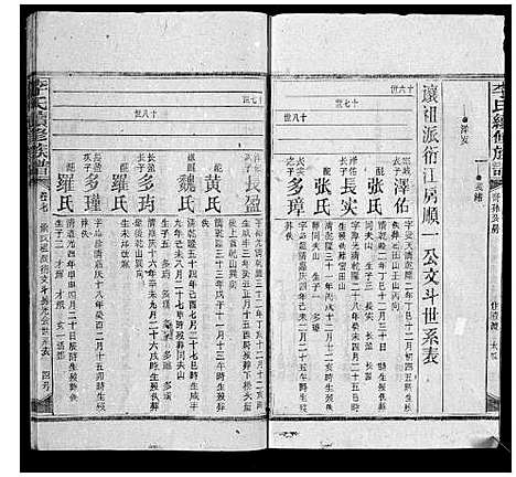 [李]李氏续修族谱 (湖南) 李氏续修家谱_八.pdf