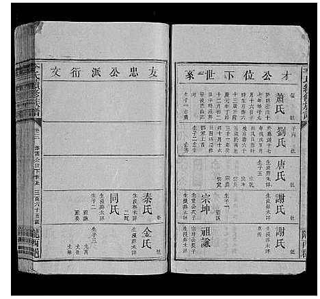 [李]李氏续修族谱 (湖南) 李氏续修家谱_七.pdf