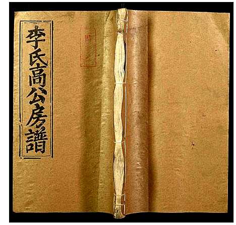 [李]李氏高公房谱 (湖南) 李氏高公房谱_七.pdf