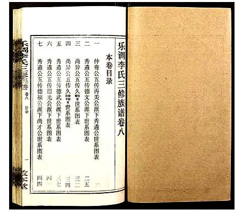 [李]乐调李氏三修族谱 (湖南) 乐调李氏三修家谱_二.pdf