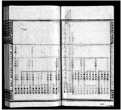 [李]桥头李氏族谱_24卷首2卷-Qiaotou Li Shi_湘乡桥头李氏族谱_桥头李氏族谱 (湖南) 桥头李氏家谱_十九.pdf