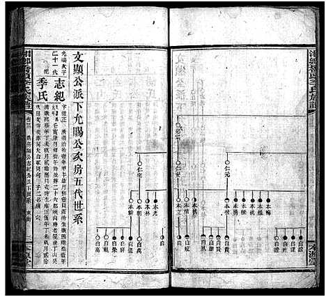 [李]桥头李氏族谱_24卷首2卷-Qiaotou Li Shi_湘乡桥头李氏族谱_桥头李氏族谱 (湖南) 桥头李氏家谱_二十四.pdf