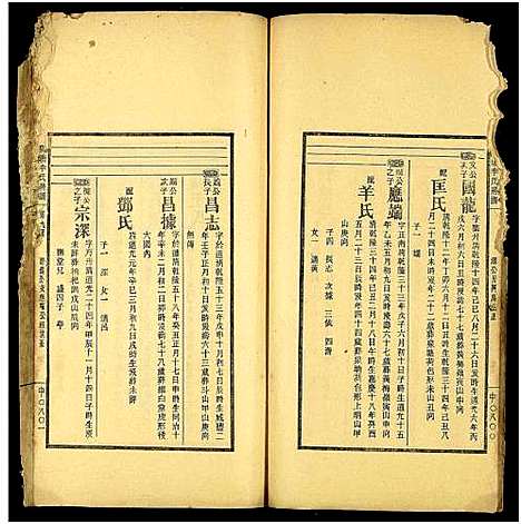 [李]泉塘李氏五修房谱_16册-邵东泉塘李氏五修房谱_泉塘李氏房谱 (湖南) 泉塘李氏五修房谱_十三.pdf