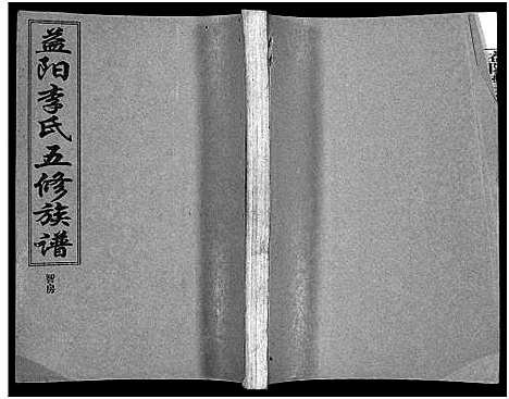 [李]益阳李氏五修族谱_16卷首1卷_附1卷-益阳陇西李氏族谱-益阳李氏五修族谱 (湖南) 益阳李氏五修家谱_五.pdf