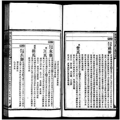 [李]邵东庙堂李氏三修宗谱_8卷首1卷-Shao Dong Miao Tang Li Shi_邵东庙堂李氏三修宗谱 (湖南) 邵东庙堂李氏三修家谱_四.pdf