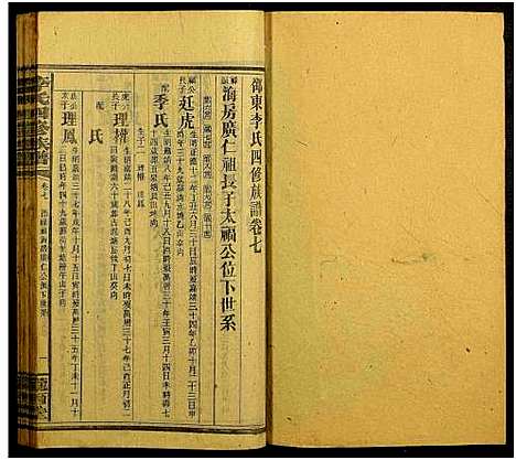 [李]邵阳李氏四修族谱_家派集世系卷50卷-李氏四修族谱_李氏四修族谱 (湖南) 邵阳李氏四修家谱_七.pdf