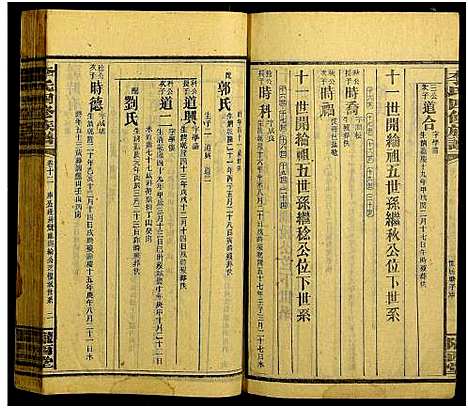 [李]邵阳李氏四修族谱_家派集世系卷50卷-李氏四修族谱_李氏四修族谱 (湖南) 邵阳李氏四修家谱_十二.pdf