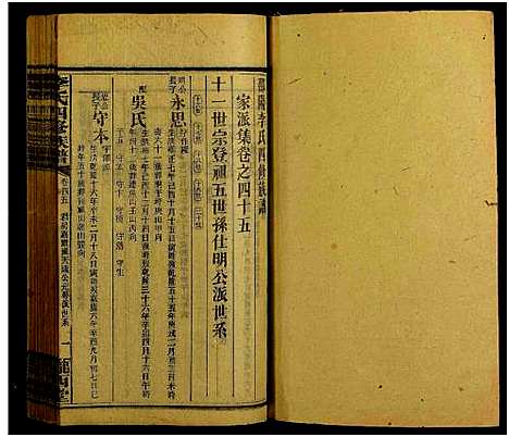 [李]邵阳李氏四修族谱_家派集世系卷50卷-李氏四修族谱_李氏四修族谱 (湖南) 邵阳李氏四修家谱_四十五.pdf