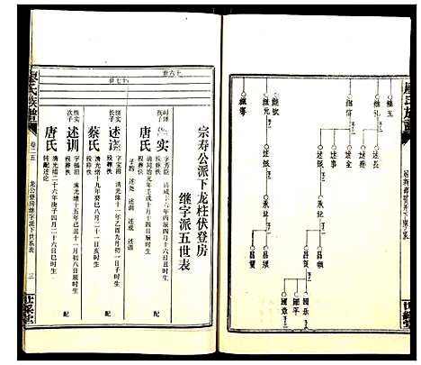 [廖]廖氏族谱 (湖南) 廖氏家谱_二十九.pdf