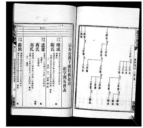 [廖]廖氏族谱_35卷首5卷 (湖南) 廖氏家谱_三十一.pdf