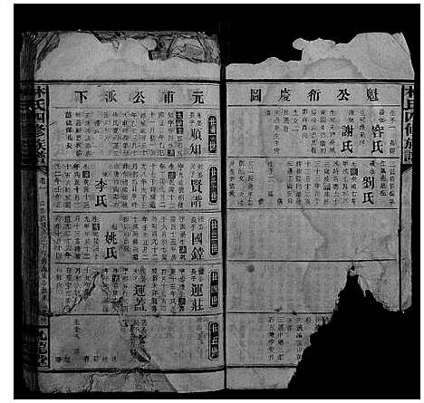 [林]林氏四修族谱 (湖南) 林氏四修家谱.pdf