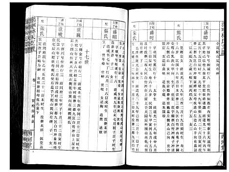 [林]沩甯林氏支谱 (湖南) 沩甯林氏支谱_三.pdf