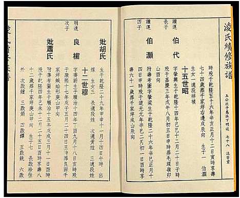 [凌]郴阳凌氏族谱_14卷-凌氏续修族谱 (湖南) 郴阳凌氏家谱_十一.pdf