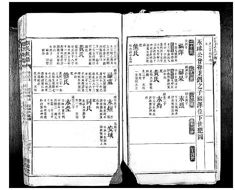 [刘]刘氏族谱_10卷首1卷 (湖南) 刘氏家谱_九.pdf