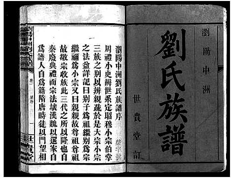 [刘]刘氏族谱_8卷-浏阳中洲刘氏族谱 (湖南) 刘氏家谱_一.pdf