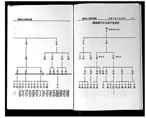 [刘]墨庄坑上刘氏族谱 (湖南) 墨庄坑上刘氏家谱_十一.pdf