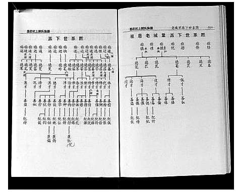 [刘]墨庄坑上刘氏族谱 (湖南) 墨庄坑上刘氏家谱_十六.pdf