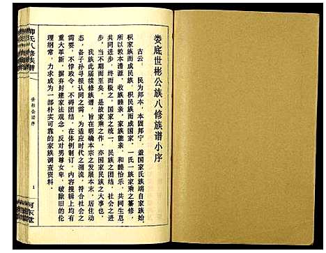 [柳]柳氏八修族谱 (湖南) 柳氏八修家谱_九.pdf