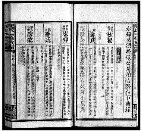 [龙]龙纳言堂族谱_22卷首1卷_附2卷 (湖南) 龙纳言堂家谱_一.pdf