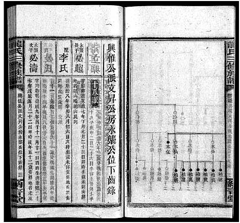 [龙]龙纳言堂族谱_22卷首1卷_附2卷 (湖南) 龙纳言堂家谱_十七.pdf