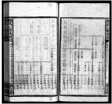 [龙]龙纳言堂族谱_22卷首1卷_附2卷 (湖南) 龙纳言堂家谱_二十.pdf