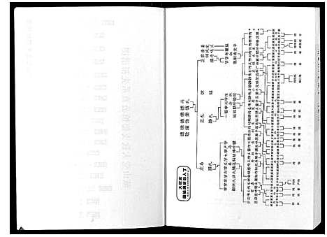 [罗]湖湘鼓磉罗氏族谱_3卷 (湖南) 湖湘鼓磉罗氏家谱_三.pdf