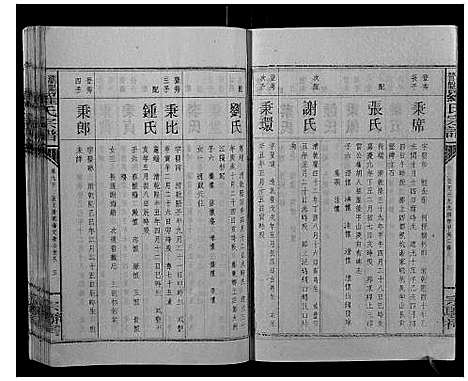 [罗]浏阳营盘罗氏宗谱_31卷首2卷 (湖南) 浏阳营盘罗氏家谱_十二.pdf