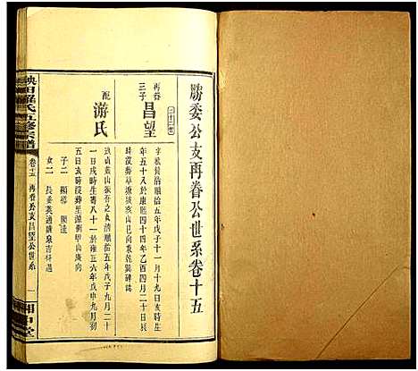 [罗]秧田罗氏五修宗谱_27卷-Yang Tian Luo Shi Wu Xiu_秧田罗氏五修宗谱 (湖南) 秧田罗氏五修家谱_十三.pdf