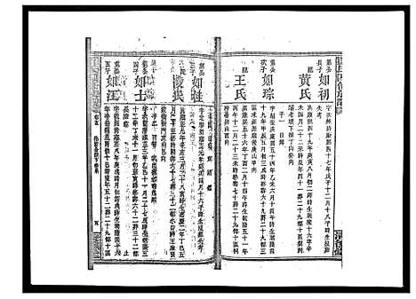 [罗]罗氏四修族谱_42卷首7卷终1卷 (湖南) 罗氏四修家谱_十.pdf