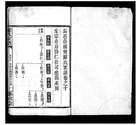 [罗]罗氏家谱_12卷首2卷 (湖南) 罗氏家谱_八.pdf