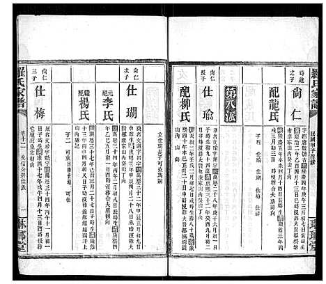 [罗]罗氏家谱_12卷首2卷 (湖南) 罗氏家谱_十.pdf