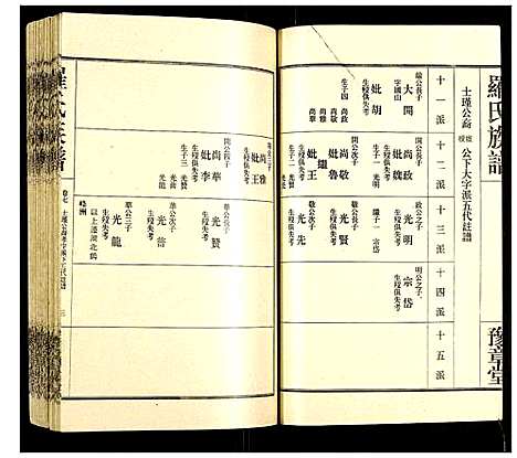 [罗]罗氏族谱 (湖南) 罗氏家谱_六.pdf