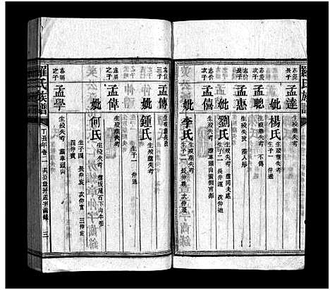 [罗]罗氏族谱_16卷-罗氏宗谱_郴阳西乡罗氏族谱-罗氏族谱 (湖南) 罗氏家谱_五.pdf