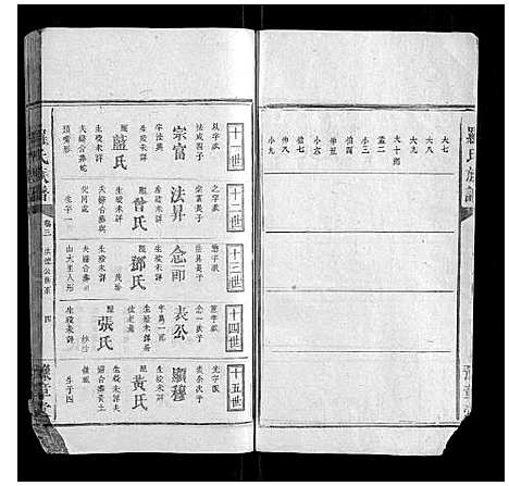 [罗]罗氏族谱_5卷 (湖南) 罗氏家谱_三.pdf