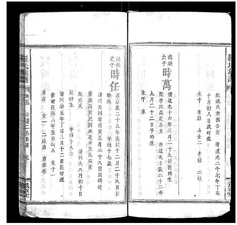 [罗]罗氏族谱_7卷首1卷 (湖南) 罗氏家谱_六.pdf