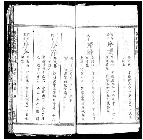 [罗]罗氏族谱_7卷首1卷 (湖南) 罗氏家谱_八.pdf