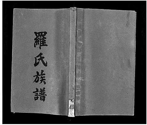 [罗]罗氏族谱_22卷首2卷-Luo Shi_罗氏族谱 (湖南) 罗氏家谱_八.pdf