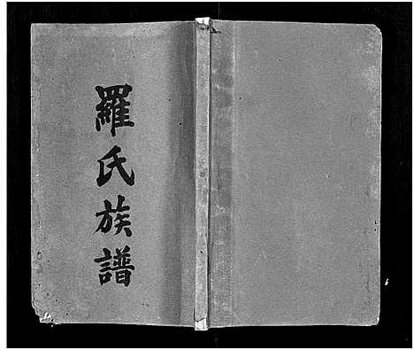 [罗]罗氏族谱_22卷首2卷-Luo Shi_罗氏族谱 (湖南) 罗氏家谱_十二.pdf