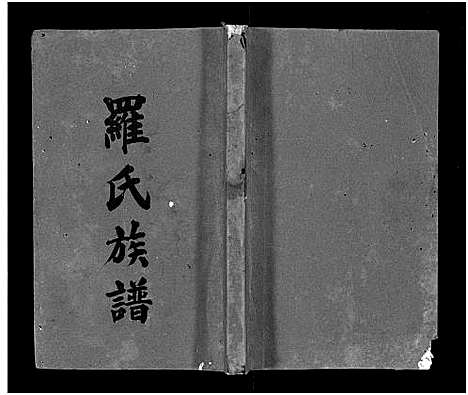 [罗]罗氏族谱_22卷首2卷-Luo Shi_罗氏族谱 (湖南) 罗氏家谱_十九.pdf