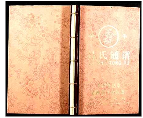 [吕]中华吕氏通谱 (湖南) 中华吕氏通谱_二.pdf