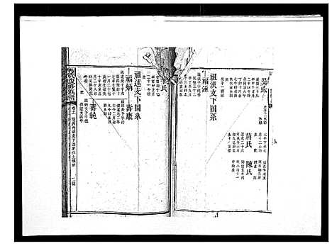 [马]马氏复修族谱 (湖南) 马氏复修家谱_十二.pdf