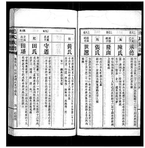 [毛]毛氏族谱 (湖南) 毛氏家谱_三十八.pdf