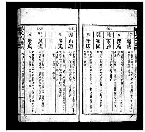 [毛]毛氏族谱 (湖南) 毛氏家谱_四十五.pdf