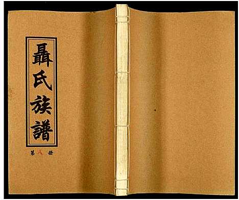 [未知]湖南娄底印溪聂氏族谱_合78册 (湖南) 湖南娄底印溪聂氏家谱_八.pdf