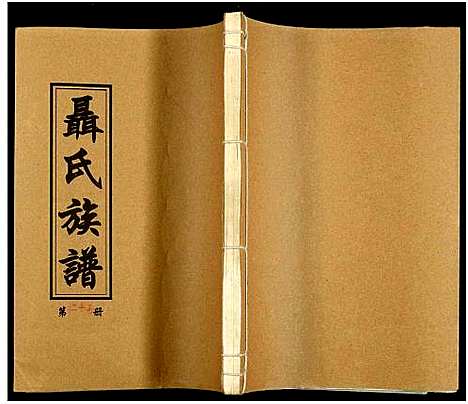 [未知]湖南娄底印溪聂氏族谱_合78册 (湖南) 湖南娄底印溪聂氏家谱_二十八.pdf