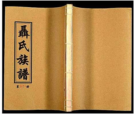 [未知]湖南娄底印溪聂氏族谱_合78册 (湖南) 湖南娄底印溪聂氏家谱_三十一.pdf