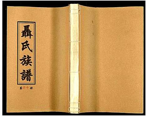 [未知]湖南娄底印溪聂氏族谱_合78册 (湖南) 湖南娄底印溪聂氏家谱_四十五.pdf