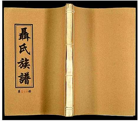 [未知]湖南娄底印溪聂氏族谱_合78册 (湖南) 湖南娄底印溪聂氏家谱_四十六.pdf