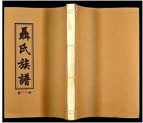 [未知]湖南娄底印溪聂氏族谱_合78册 (湖南) 湖南娄底印溪聂氏家谱_四十七.pdf