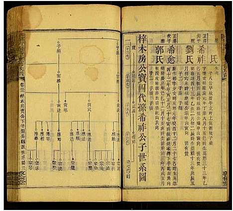 [彭]湘乡青兰彭氏三修族谱_残卷 (湖南) 湘乡青兰彭氏三修家谱_十二.pdf